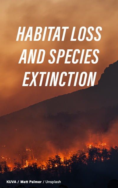 "A dramatic scene of a forest fire with plumes of smoke rising against an orange-tinted sky, with the text 'Habitat Loss and Species Extinction' overlaying the image. Photo by Matt Palmer on Unsplash."