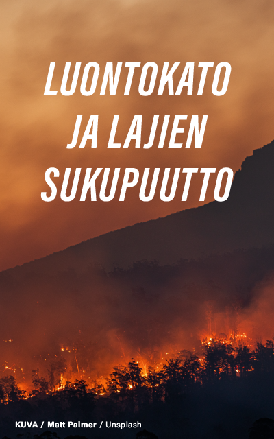 Metsäpalo ja teksti: "Luontokato ja lajien sukupuutto". Spring-ideakilpailu.