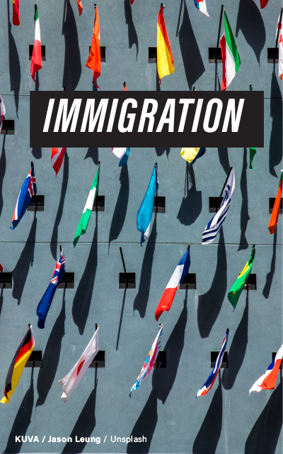 "Array of various national flags displayed vertically against a gray concrete wall, representing the diversity of immigration."